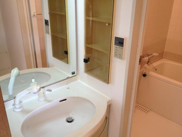 Wash basin, toilet. Room (August 2013) Shooting