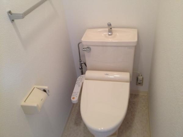 Toilet. Room (August 2013) Shooting