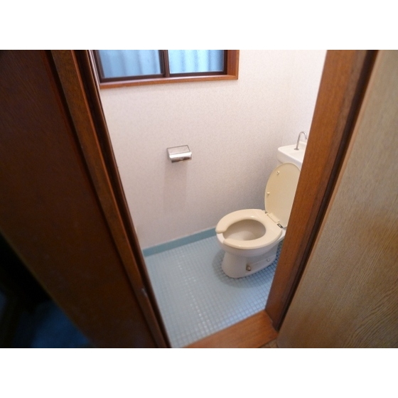 Toilet. WC with cleanliness