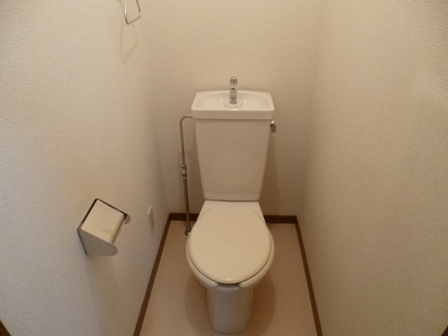 Toilet. Toilet