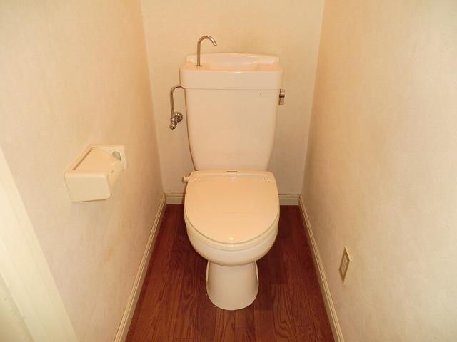 Toilet. It has been clean used