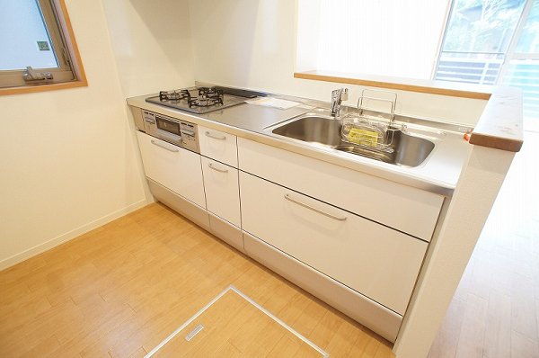 Kitchen. Convenient face-to-face kitchen to clean up the back or carry a cuisine. 