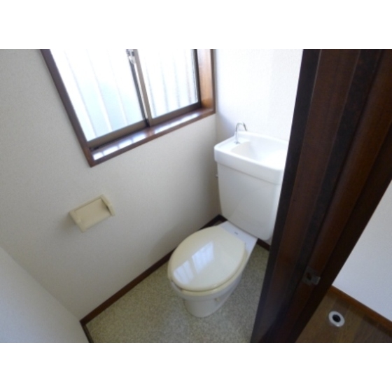 Toilet. Is there is a window ventilation and easy on the toilet. 