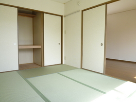 Living and room. Japanese-style room / Interior tatami