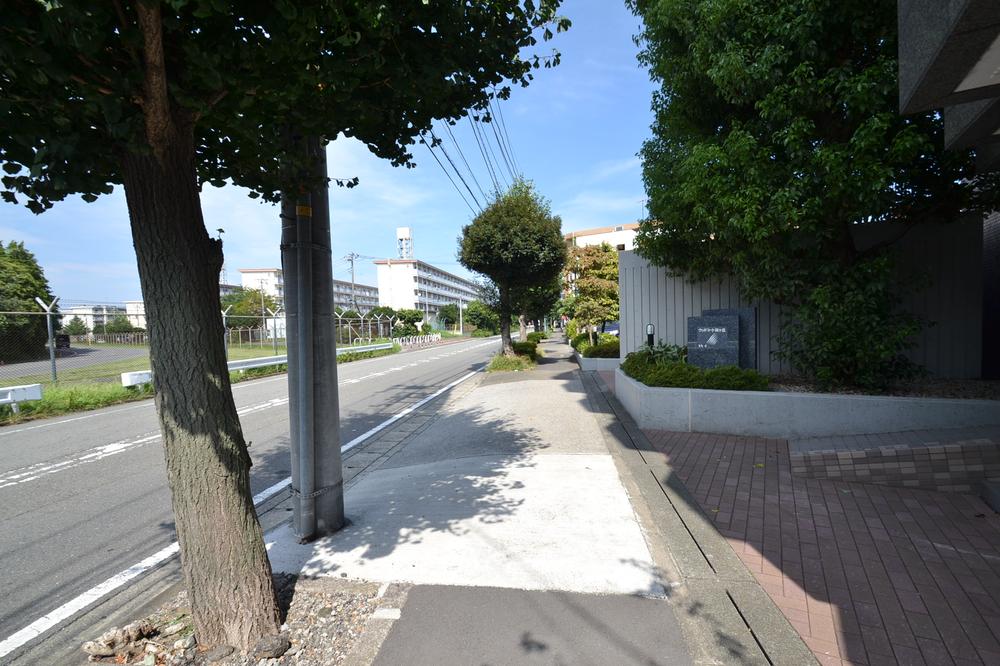 Other local. The entire surface of the road, There is a sidewalk is safe