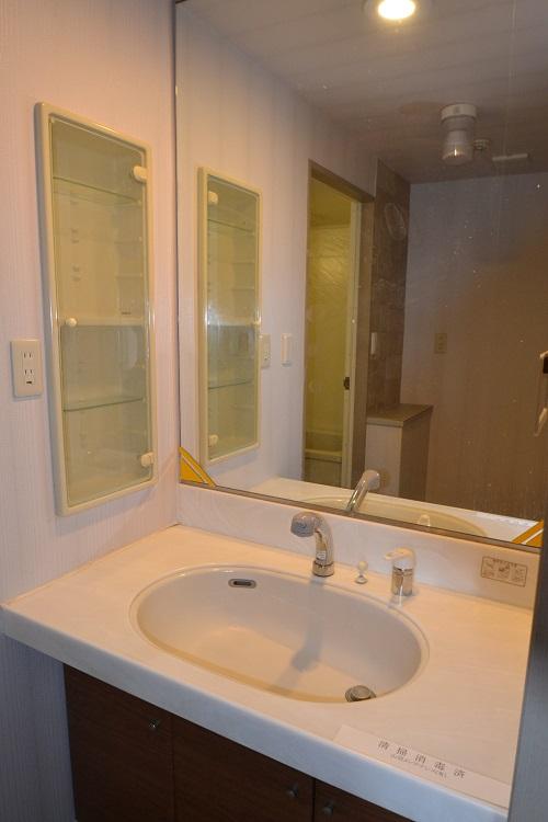 Wash basin, toilet. Also big wide basin mirror