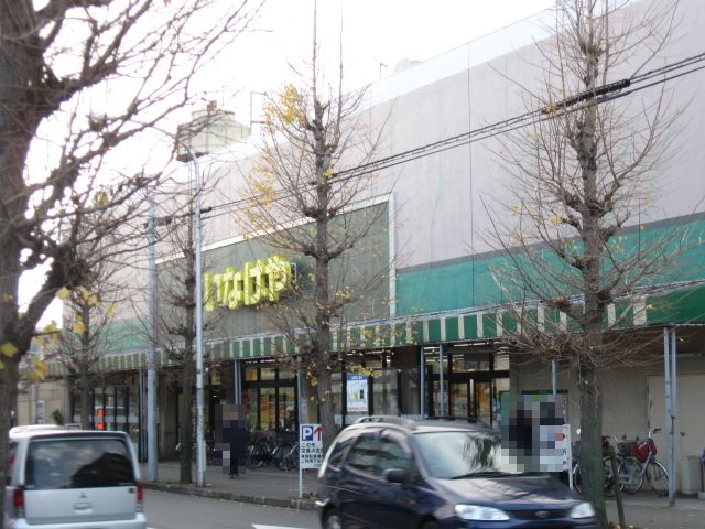 Supermarket. Inageya Co., Ltd. 109m until Yamato Sakuragaoka store (Super)