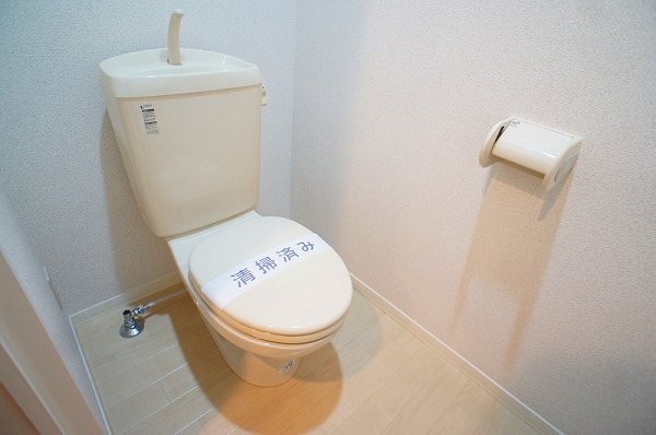 Toilet. Toilet