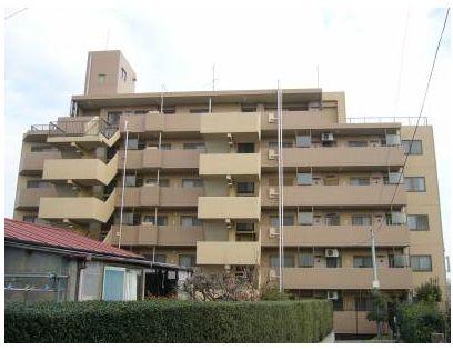 Local appearance photo. This appearance.