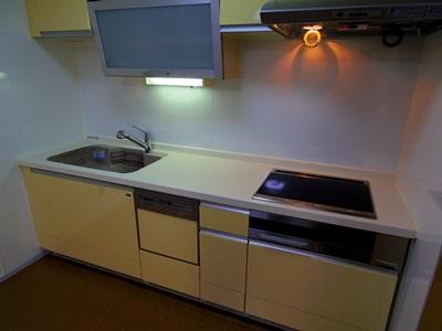 Kitchen. Indoor (10 May 2013) Shooting