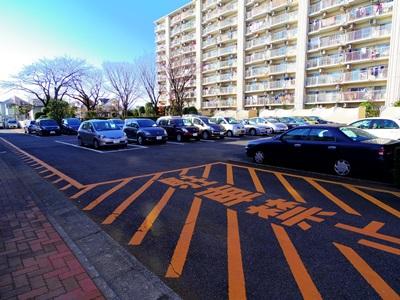 Parking lot. Common areas