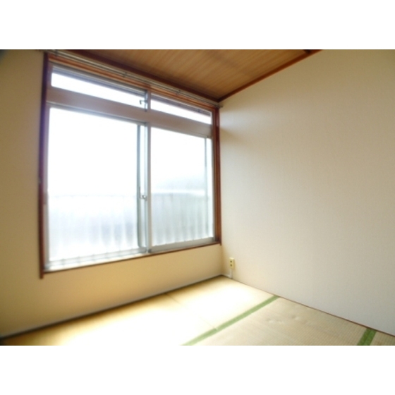 Other room space. A bright light and then insert from the south-facing window