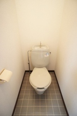 Toilet. Recommended easy-to-use style bathroom without a toilet is