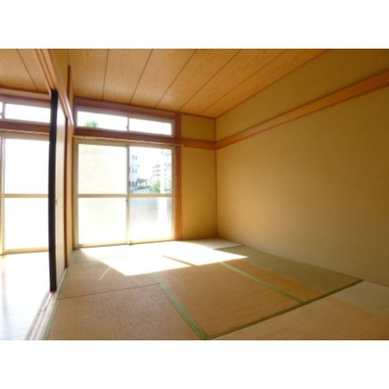 Other. It is perfect for the Japanese-style room 6 quires in the bedroom.