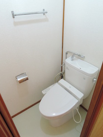 Toilet. toilet / Cleaning function with toilet seat
