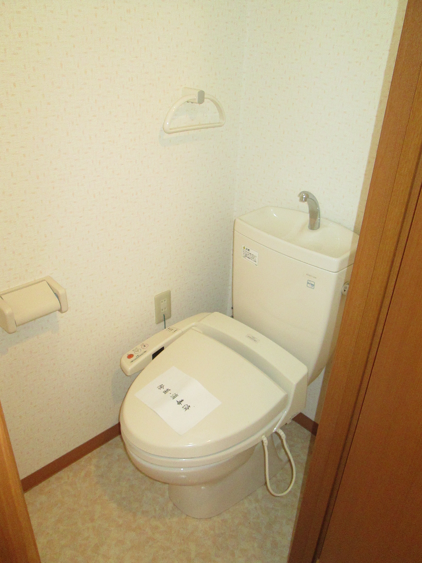 Toilet. Warm toilet with bidet