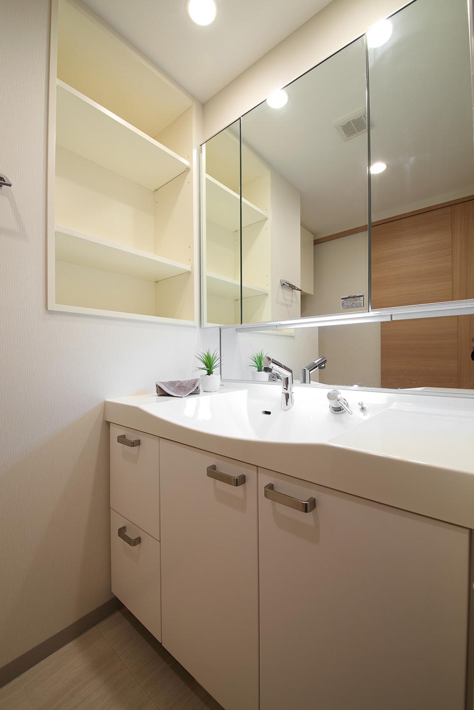 Wash basin, toilet. Room (August 2013) Shooting