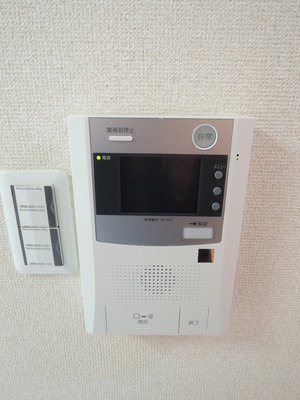 Security. Monitor with intercom