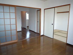Living and room. Kitchen as seen from the Western-style