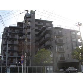 Local appearance photo. Intermedius Yamato