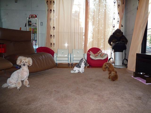 Non-living room. Also impetus conversation of your family in a bright living room.