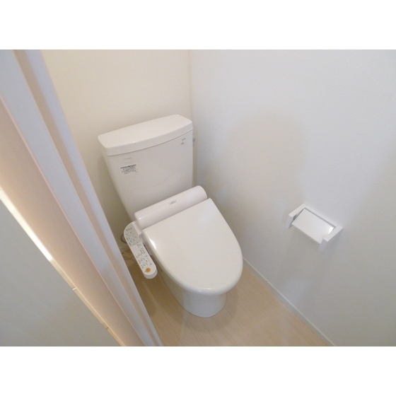 Toilet. It is a handy toilet with bidet.