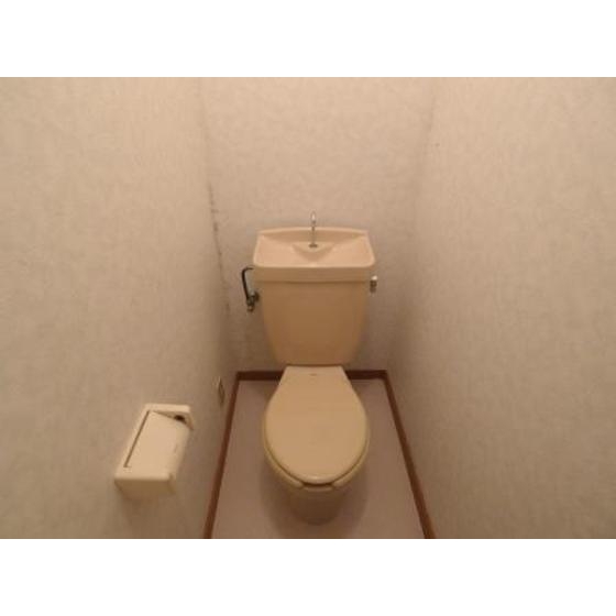 Other. Here is a toilet.