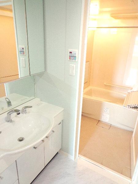 Bathroom. Wash basin and bathroom