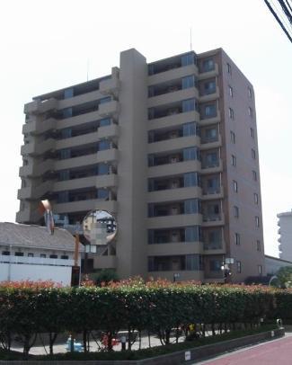 Local appearance photo. Stylish appearance of tile Zhang