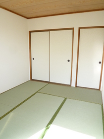 Living and room. Japanese-style room / Interior tatami