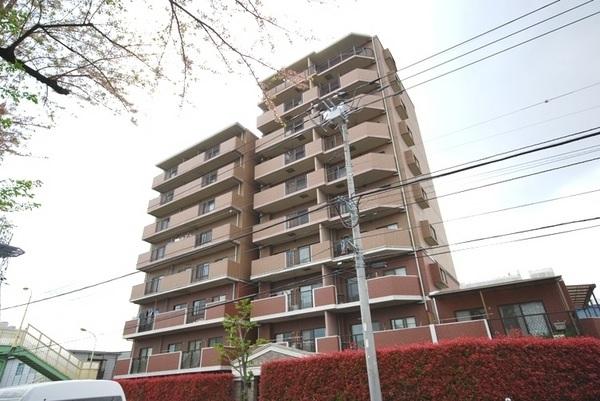 Local appearance photo. Good per sun!