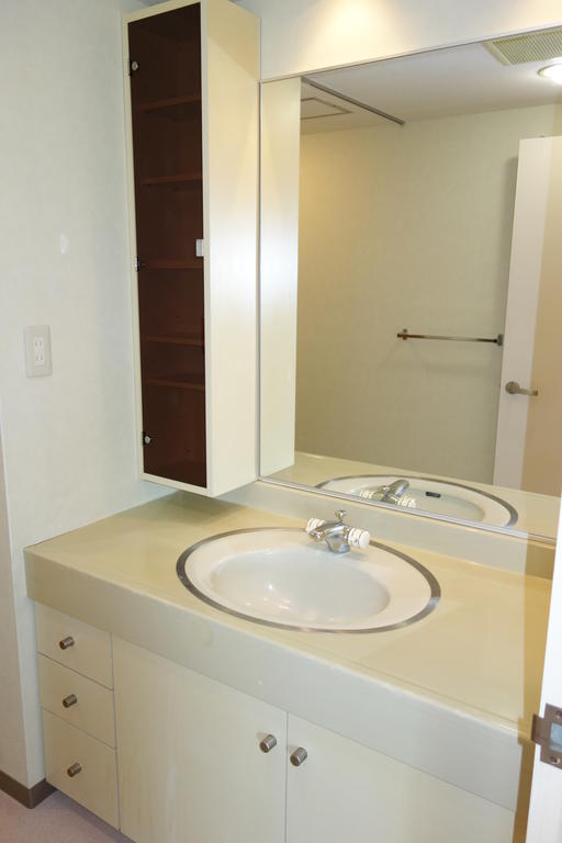 Washroom. Large easy-to-use independent wash basin