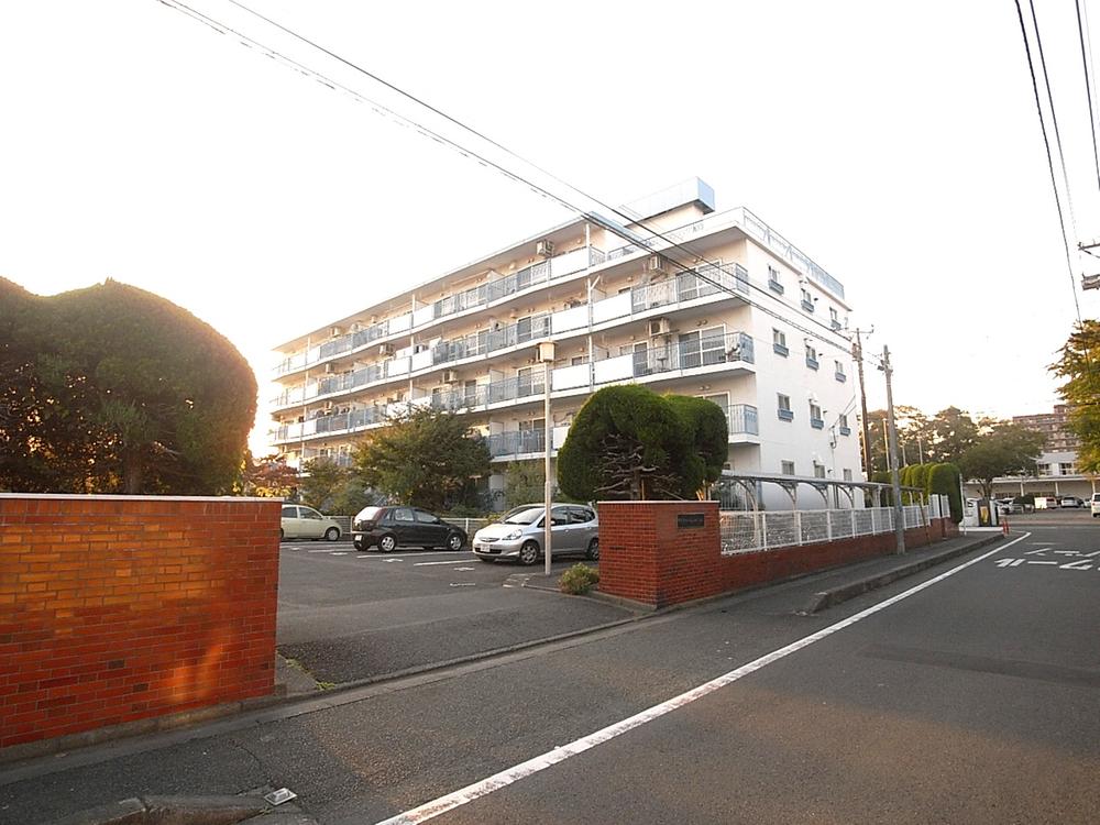 Local appearance photo. Local (10 May 2013) Shooting