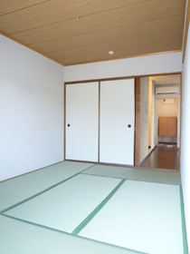 Living and room. Japanese-style room / Interior tatami