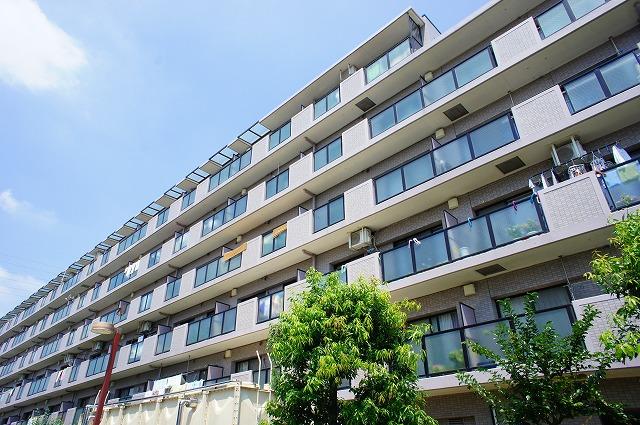 Local appearance photo. Local (July 2013) Shooting