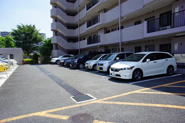 Parking lot. Common areas