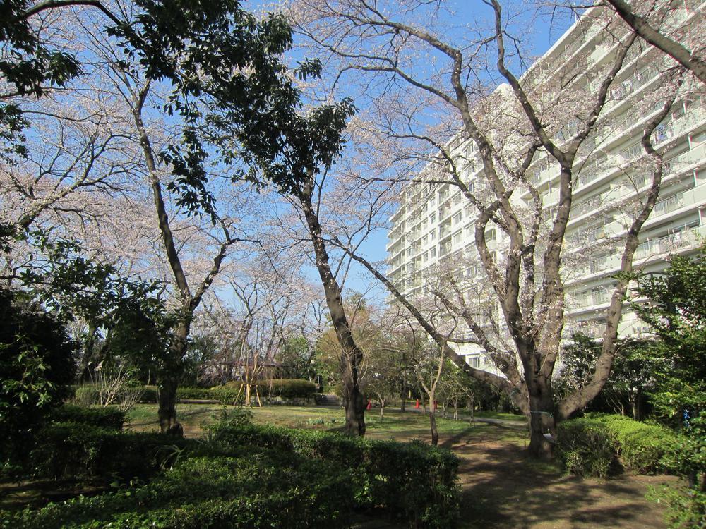 Other common areas. Garden can enjoy cherry blossoms in the spring (1)