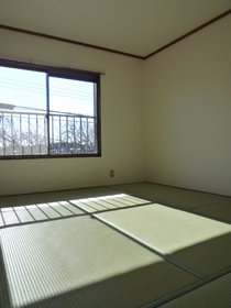 Living and room. Japanese-style room / Interior tatami