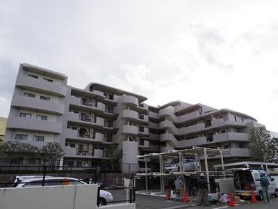 Local appearance photo. Local (10 May 2013) Shooting