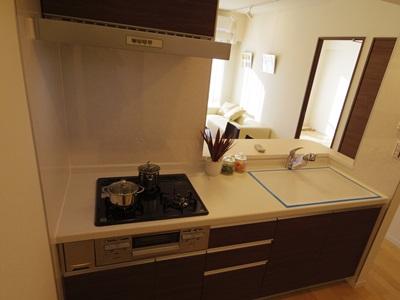 Kitchen. Indoor (10 May 2013) Shooting