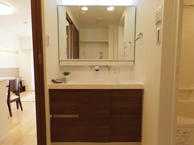 Wash basin, toilet. Indoor (10 May 2013) Shooting