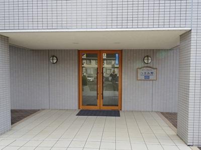 Entrance. Common areas