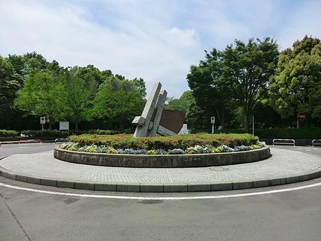 Other. Hikichi board park