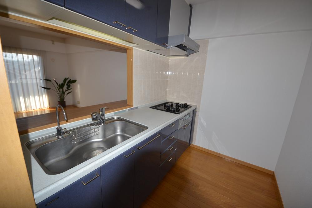 Kitchen. Indoor (12 May 2013) Shooting