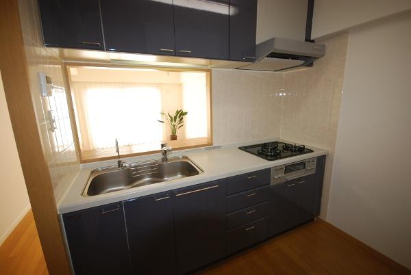 Kitchen. Indoor (12 May 2013) Shooting