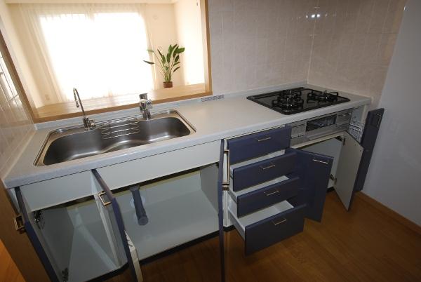 Kitchen. Indoor (12 May 2013) Shooting