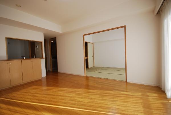 Living. Bright living plugging of light ☆