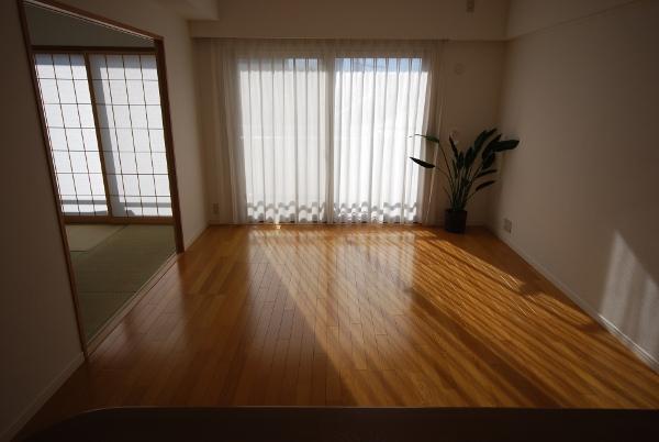 Living. Indoor (12 May 2013) Shooting