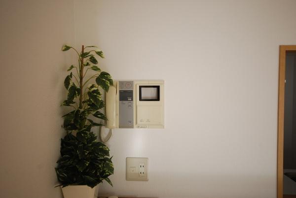 Living. Indoor (12 May 2013) Shooting