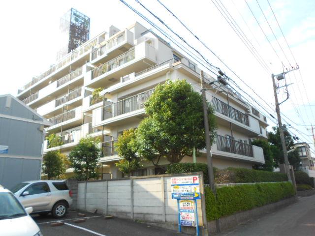 Local appearance photo. Local (August 2013) Shooting